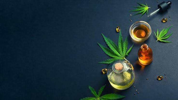 CBD Basics: What New Users Should Know